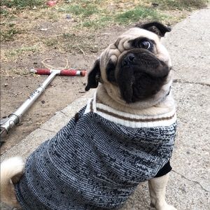 Meet your Posher, Martin